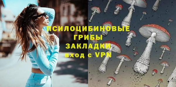 твердый Дмитриев