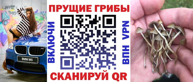 дарнет шоп  Димитровград  ОМГ ОМГ   это Telegram  Галлюциногенные грибы мицелий 